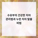 범석영치과의원 네이버블로그