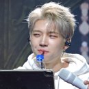 호텔나무 이미지