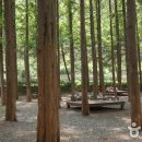 장태산 자연 휴양림 이미지