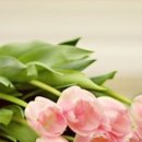 블루밍데이즈 이미지