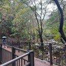 미르빌힐링타운 | 양평 가볼만한 곳 용문산관광단지 용문사 산책길