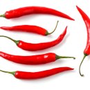 신농종합기계 이미지