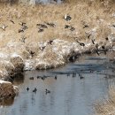 양영석농장 이미지