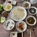 산오징어천지
