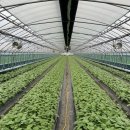 금산이네 이미지