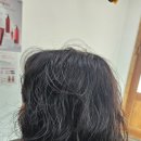 텔리뷰티 이미지