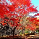 부산23산우회 천성산 내원사 암자 탐방 나들이/2019.11.19 이미지