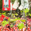 (주)프라임월드 | 코스트코 3월 넷째 주 할인 상품