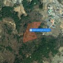 노엘부동산중개 이미지