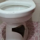 해바라기샤