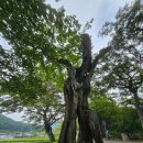 고전과 디카시 이미지