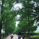 [로드엔젤스]일산파주인천김포 지역모임 - 사랑하는사람들과의 제주투어 이미지