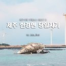 떳다위세프 | [공지] 제주 서쪽 한경면 여름여행 당일치기 여행 코스 BEST6