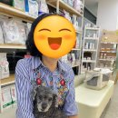 24시노아동물메디컬센터 이미지