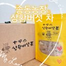 송동 | 국내산 상황버섯차 상황버섯 효능 송동농장 상황버섯 티백