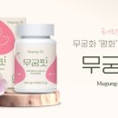 무궁무궁