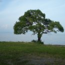 (주)신아전자 이미지