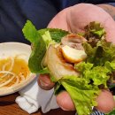 한라산도새기 이미지