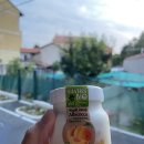 상촌면 간이화장실(초록마을 앞) | '6일차' 스위스 루체른, 베른 / 온라인투어 서유럽 3국 7박 10일 패키지 여행 후기