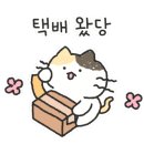 건강미체 이미지