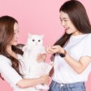 사파리사진관청주점 이미지