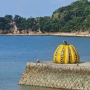 다리섬카페 | 일본 소도시 다카마쓰 나오시마 섬 투어, 호박, 식당, 카페 찐 후기