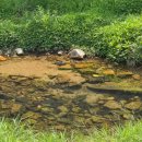 속리산가자 민박 이미지