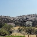 온더데스크분당스터디카페 네이버블로그