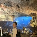 내포우리약국 | [🇻🇳일월의 여행일지_하이퐁/하롱베이] 찔 듯한 더위에도 입맛은 잃지 않기. 유람선 투어, 동굴 투어...