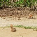 어사농장 이미지