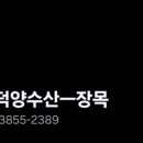 하늘빛닭섬