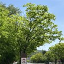 원더스 | 커플끼리 경주 데이트하기 좋은 핫플추천 ::보문 원더스페이스 후기