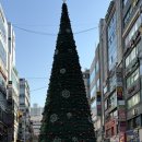 미모상승 | 산본 속눈썹연장 잘하는 곳 추천 ✨ 연말 미모상승 성공한 뮈르브로우 방문 후기