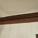 애버그린 이미지