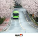 삼포가는길 이미지