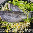 통우럭칼제비 이미지