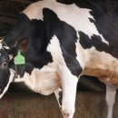 황진목장 이미지