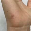 양평맑은피부과의원 이미지