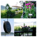 달그리고강 이미지