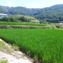 뉴경남공인중개사사무소 이미지