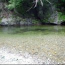 아침가리 계곡 캠핑장 이미지