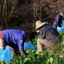 명이농장 이미지