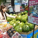 롯데마트 헤럴드경제