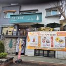 포르피노 이미지