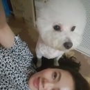 행복한 펫 살롱 이미지