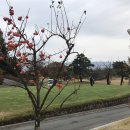 (주)골프큐브 이미지