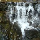 산장클럽 이미지