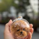순천 양모펠트 꿈꾸는 니들공방에서 반려동물 굿즈 만들기
