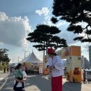 뱃들로 | 2025 보은 대추축제 아이랑 방문 후기 (주차장, 수유실 등)