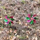 바람개비작은도서관 이미지